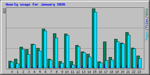 Hourly usage for January 2026