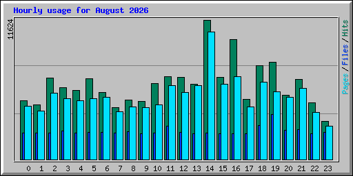 Hourly usage for August 2026